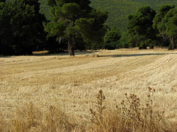 βγήκα στις 8 λίγο παραέξω να πιάσει το κινητό,,