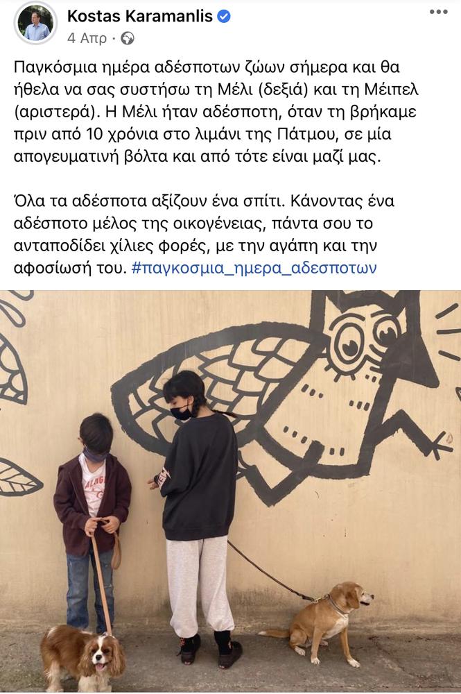 παγκοσμια ημερα αδεσποτων