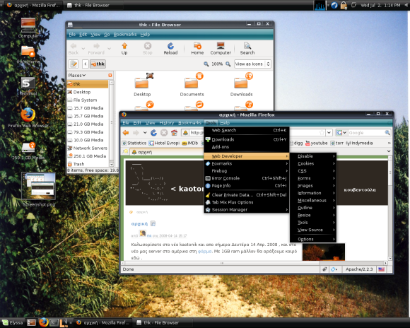 Linux mint elyssa on my desktop. Theme is moomex