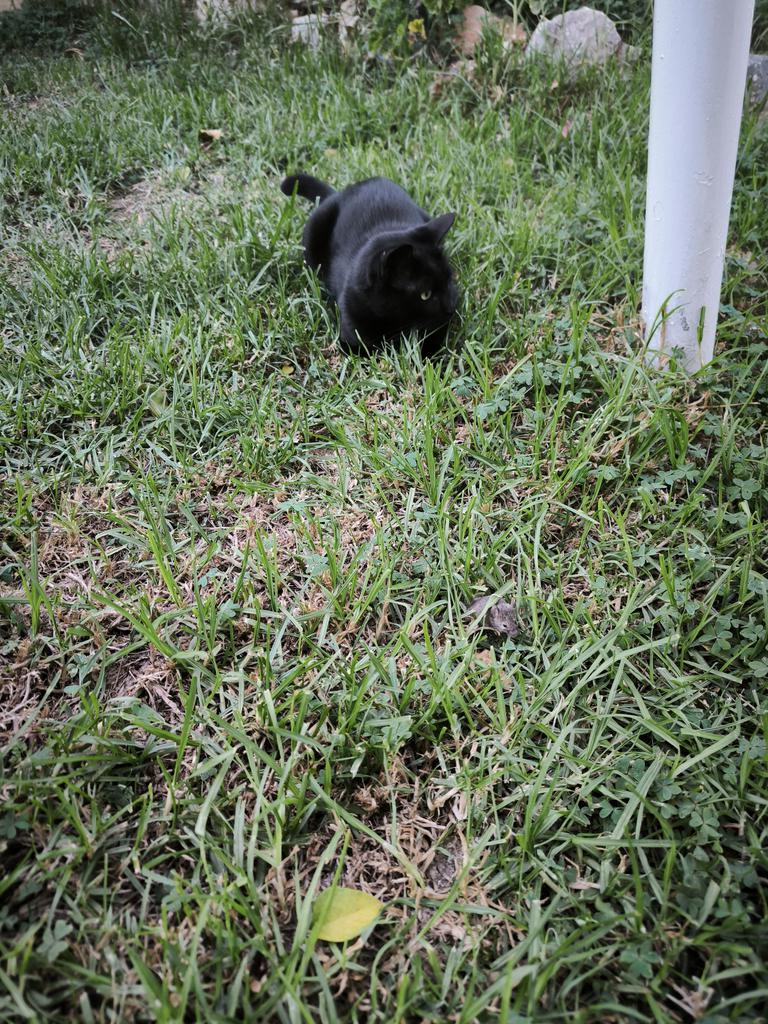 Πρέπει να το άφησε μετα