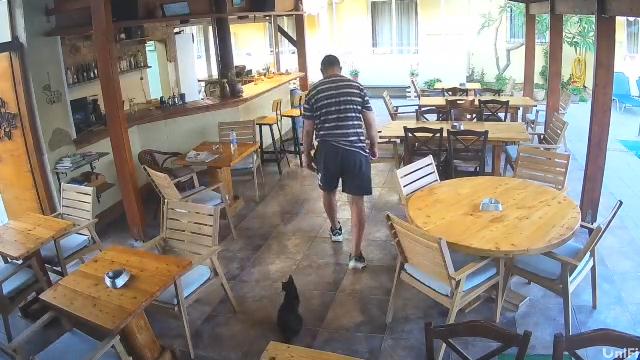 αχ σατανωλη μονο εσυ